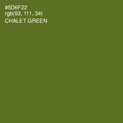 #5D6F22 - Chalet Green Color Image