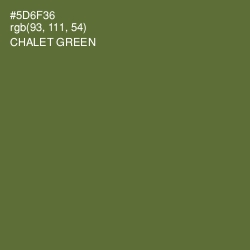 #5D6F36 - Chalet Green Color Image