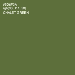 #5D6F3A - Chalet Green Color Image