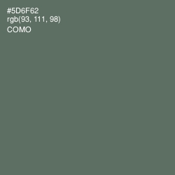 #5D6F62 - Como Color Image