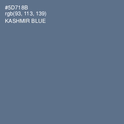 #5D718B - Kashmir Blue Color Image