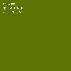 #5D7301 - Green Leaf Color Image