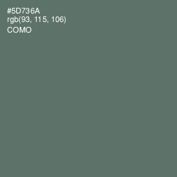 #5D736A - Como Color Image
