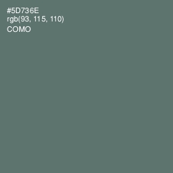 #5D736E - Como Color Image