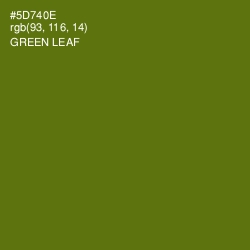 #5D740E - Green Leaf Color Image