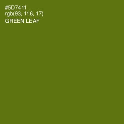 #5D7411 - Green Leaf Color Image