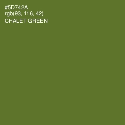 #5D742A - Chalet Green Color Image