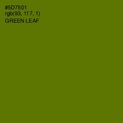 #5D7501 - Green Leaf Color Image