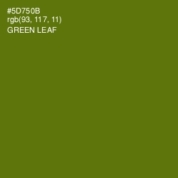 #5D750B - Green Leaf Color Image