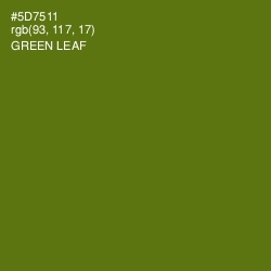 #5D7511 - Green Leaf Color Image