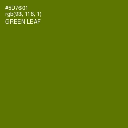 #5D7601 - Green Leaf Color Image