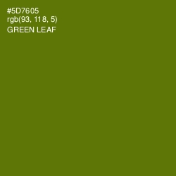 #5D7605 - Green Leaf Color Image