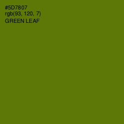 #5D7807 - Green Leaf Color Image