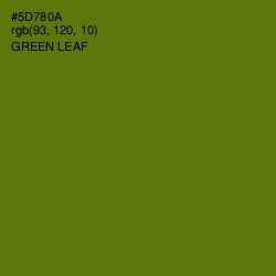 #5D780A - Green Leaf Color Image