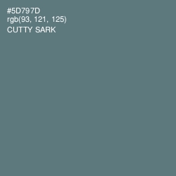 #5D797D - Cutty Sark Color Image