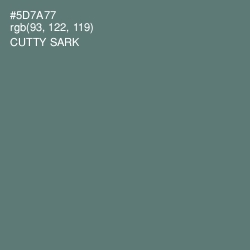 #5D7A77 - Cutty Sark Color Image
