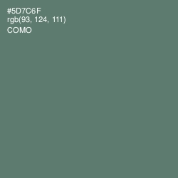 #5D7C6F - Como Color Image