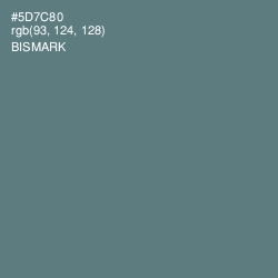 #5D7C80 - Bismark Color Image