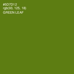#5D7D12 - Green Leaf Color Image
