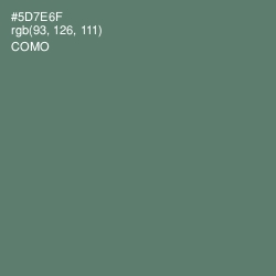 #5D7E6F - Como Color Image