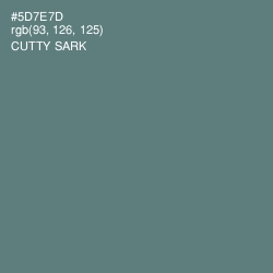 #5D7E7D - Cutty Sark Color Image