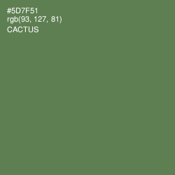 #5D7F51 - Cactus Color Image