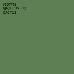 #5D7F53 - Cactus Color Image