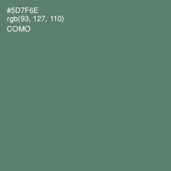 #5D7F6E - Como Color Image