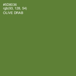 #5D8036 - Olive Drab Color Image
