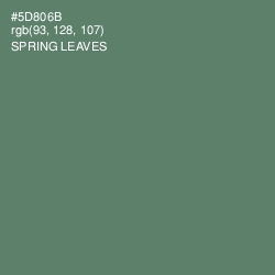 #5D806B - Spring Leaves Color Image
