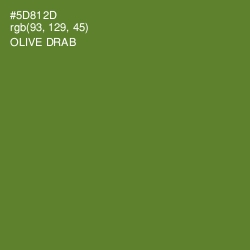 #5D812D - Olive Drab Color Image