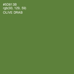 #5D813B - Olive Drab Color Image