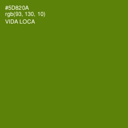 #5D820A - Vida Loca Color Image