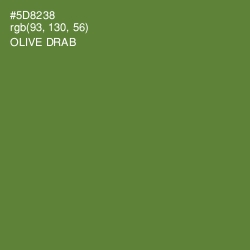 #5D8238 - Olive Drab Color Image
