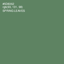 #5D8362 - Spring Leaves Color Image