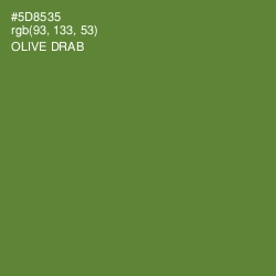 #5D8535 - Olive Drab Color Image