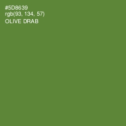 #5D8639 - Olive Drab Color Image