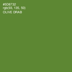 #5D8732 - Olive Drab Color Image