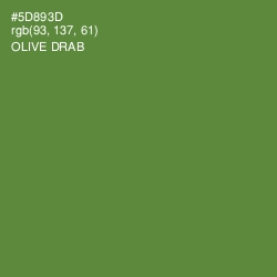 #5D893D - Olive Drab Color Image