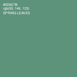 #5D927B - Spring Leaves Color Image