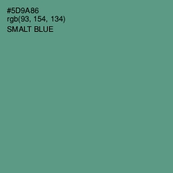 #5D9A86 - Smalt Blue Color Image