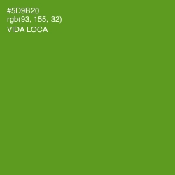 #5D9B20 - Vida Loca Color Image