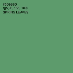 #5D9B6D - Spring Leaves Color Image