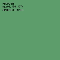 #5D9C6B - Spring Leaves Color Image