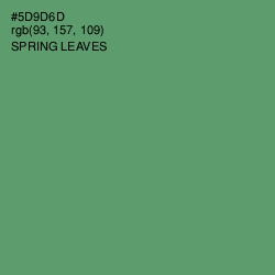 #5D9D6D - Spring Leaves Color Image