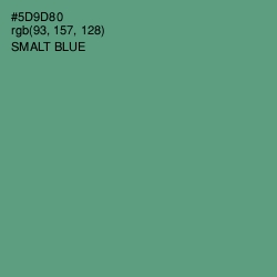 #5D9D80 - Smalt Blue Color Image