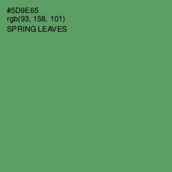 #5D9E65 - Spring Leaves Color Image