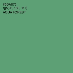#5DA075 - Aqua Forest Color Image