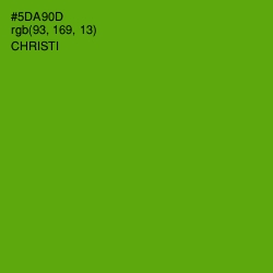 #5DA90D - Christi Color Image