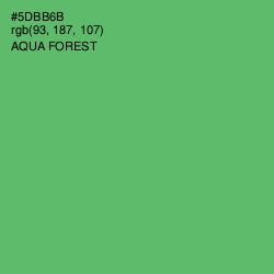 #5DBB6B - Aqua Forest Color Image